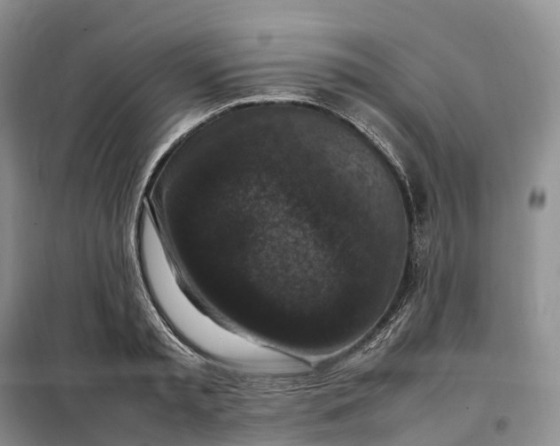 X0000098000797200804071216