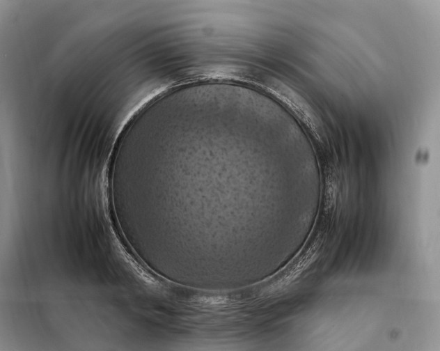 X0000098000798200804071216