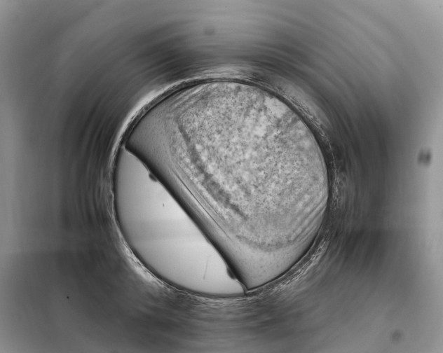 X0000098000800200804071216