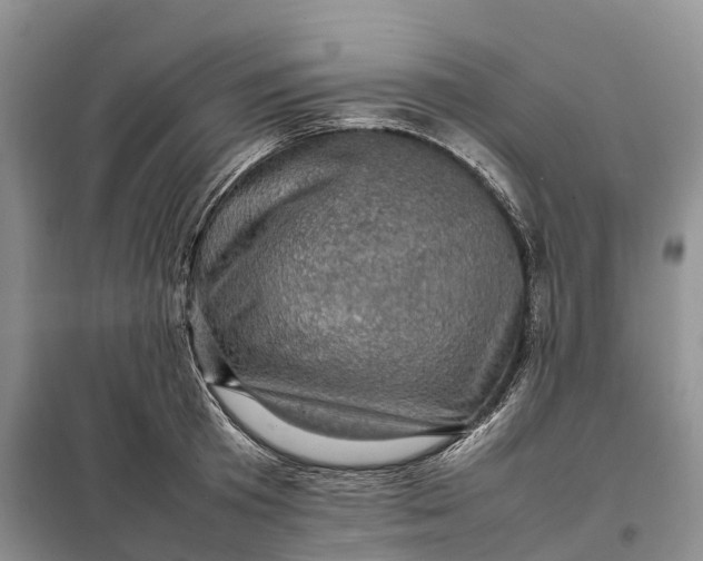 X0000098000801200804071216