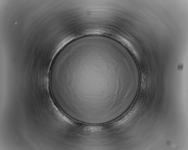 X0000098000802200804071216