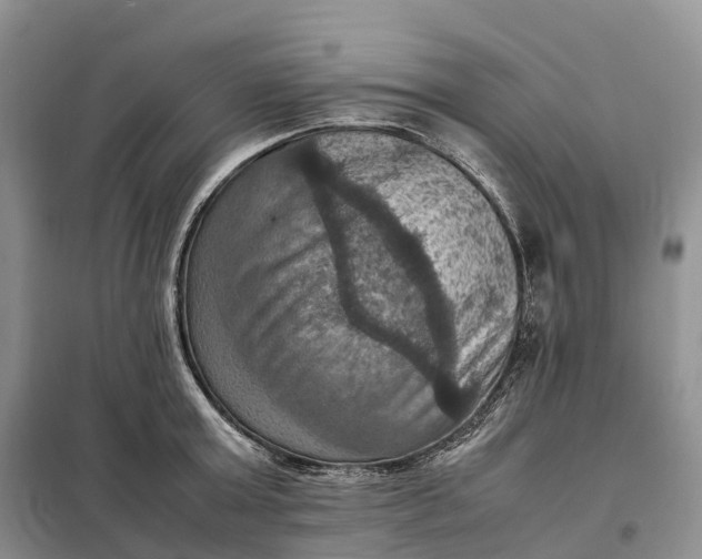 X0000098000803200804071216