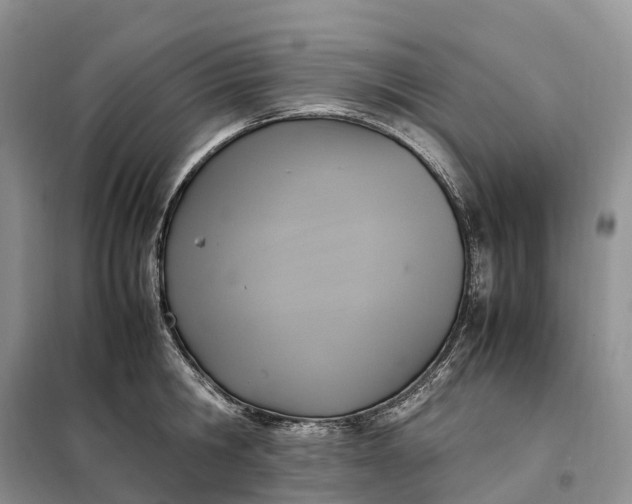 X0000098000806200804071216