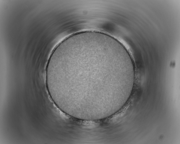 X0000098000807200804071216