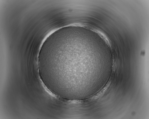 X0000098000808200804071216