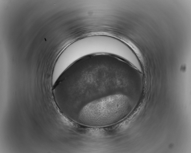 X0000098000809200804071216