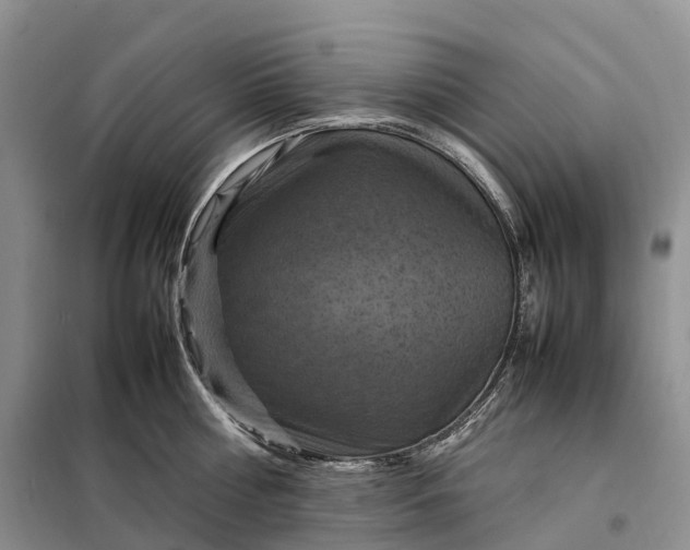 X0000098000810200804071216