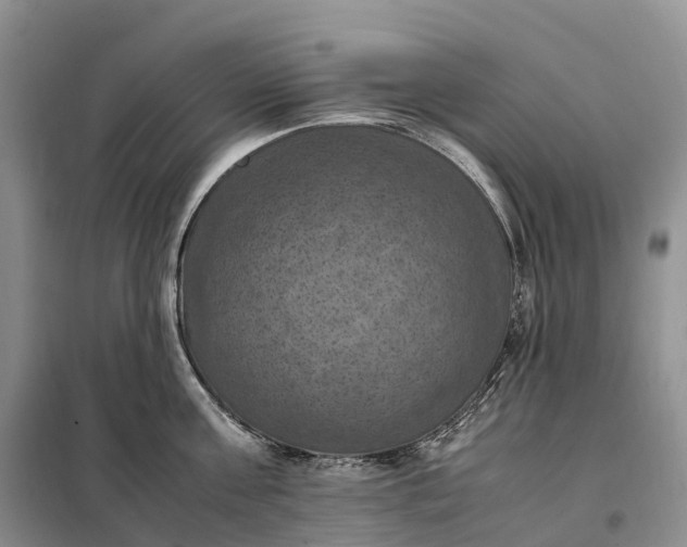 X0000098000811200804071216