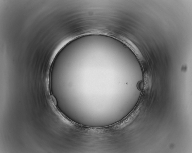 X0000098000812200804071216