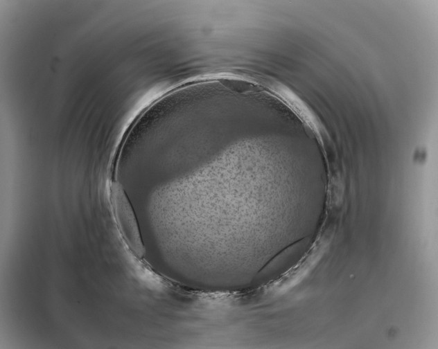 X0000098000813200804071216