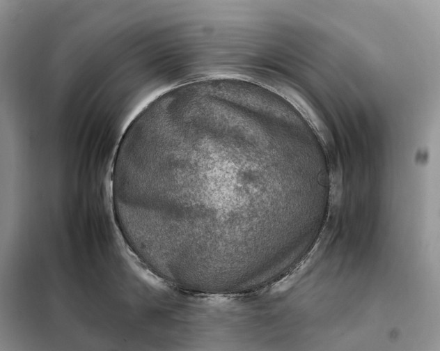 X0000098000814200804071216