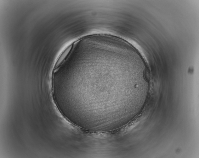 X0000098000815200804071216