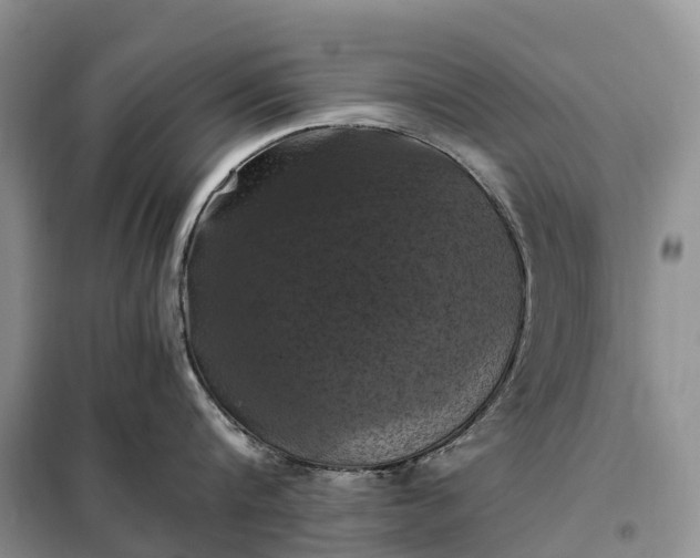 X0000098000816200804071216