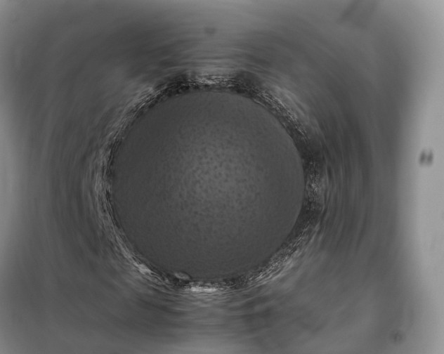 X0000098000817200804071215