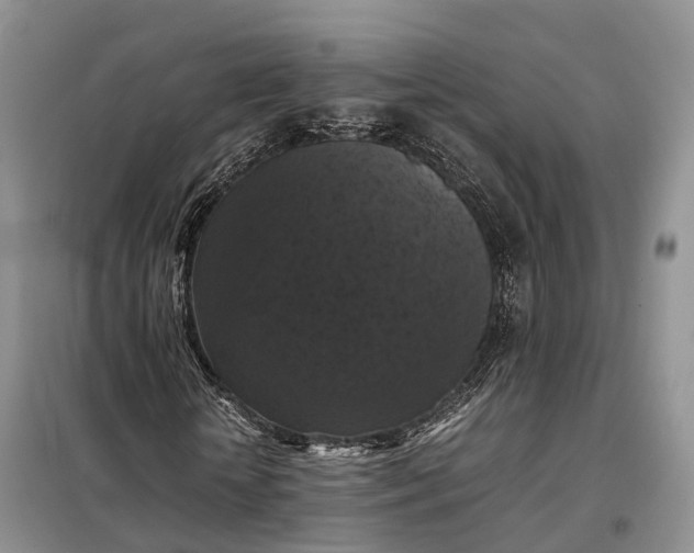 X0000098000818200804071215