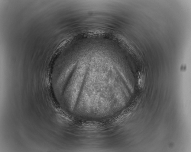 X0000098000819200804071215