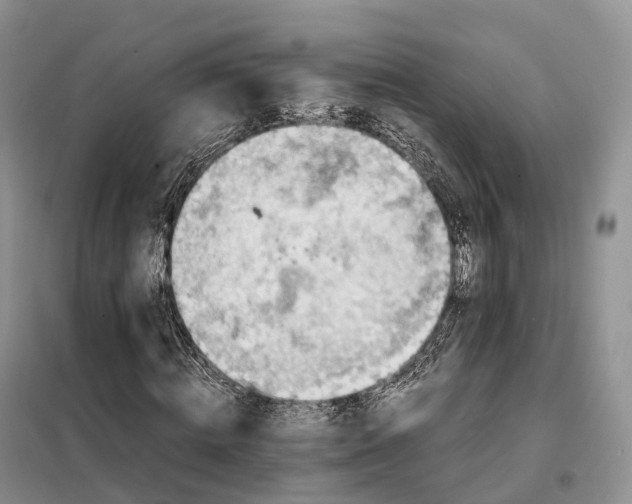 X0000098000820200804071215