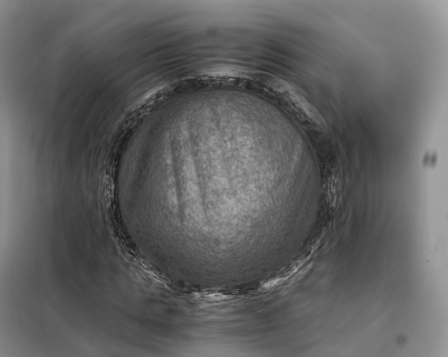 X0000098000821200804071216