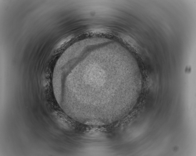 X0000098000824200804071216