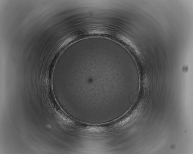 X0000098000825200804071216