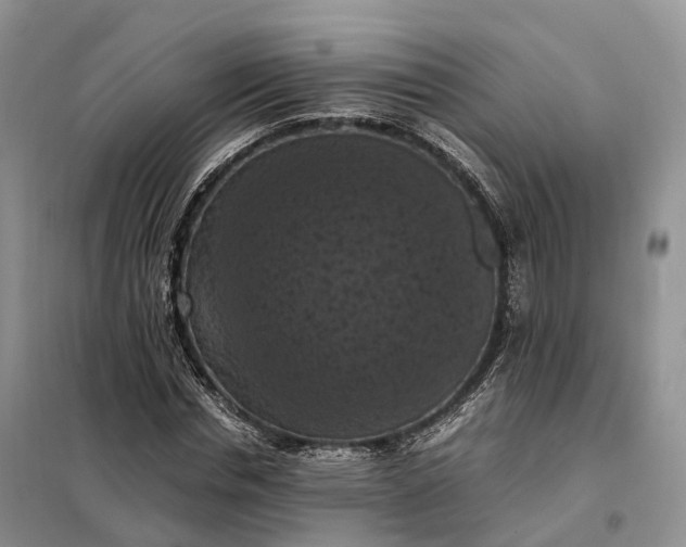 X0000098000826200804071216