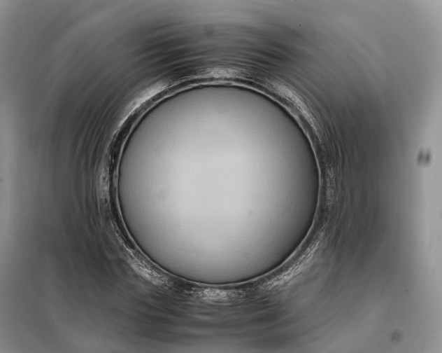 X0000098000827200804071216