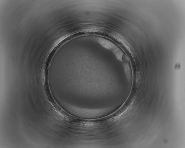 X0000098000829200804071216