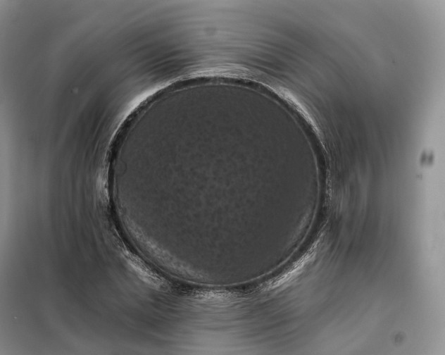 X0000098000830200804071216