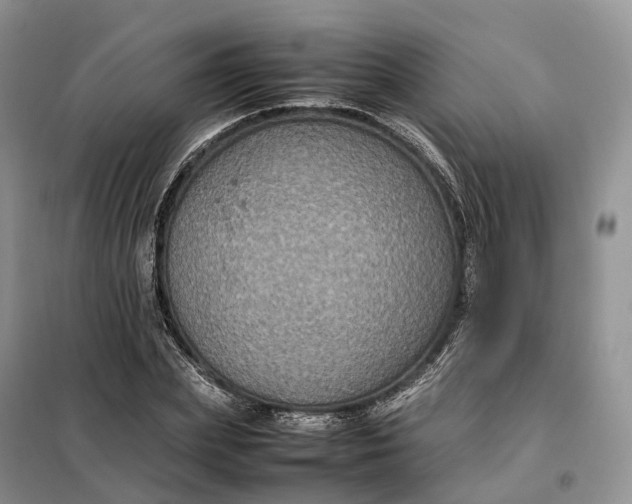 X0000098000831200804071216