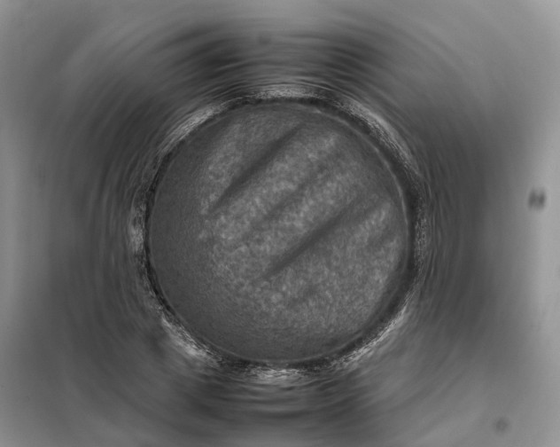 X0000098000833200804071216