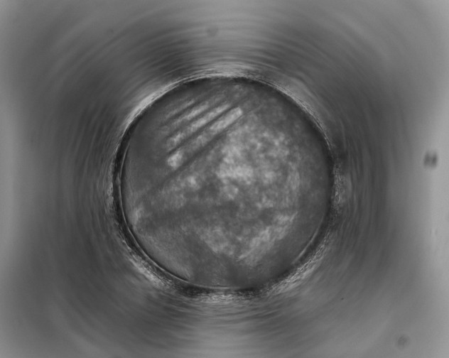X0000098000834200804071216