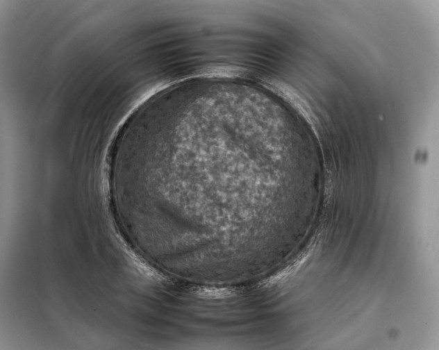 X0000098000835200804071216