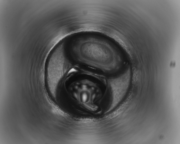 X0000098000836200804071216