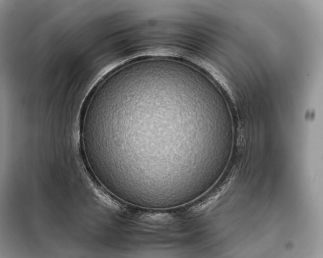 X0000098000837200804071216