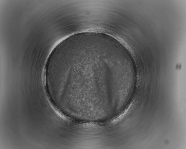X0000098000838200804071216