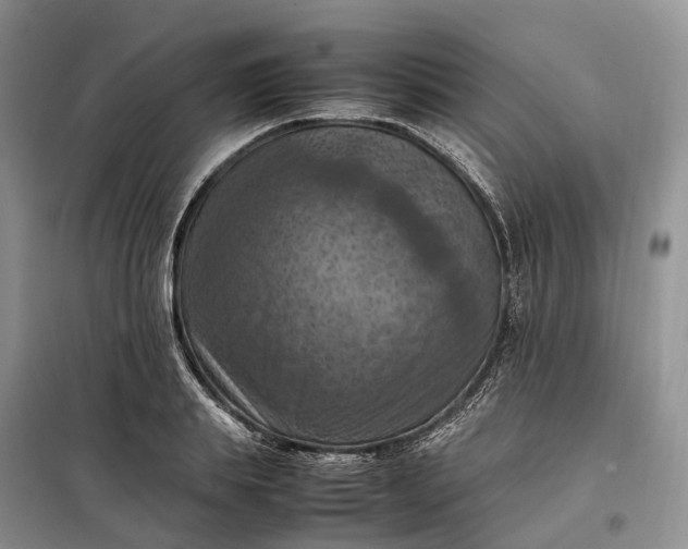 X0000098000839200804071216