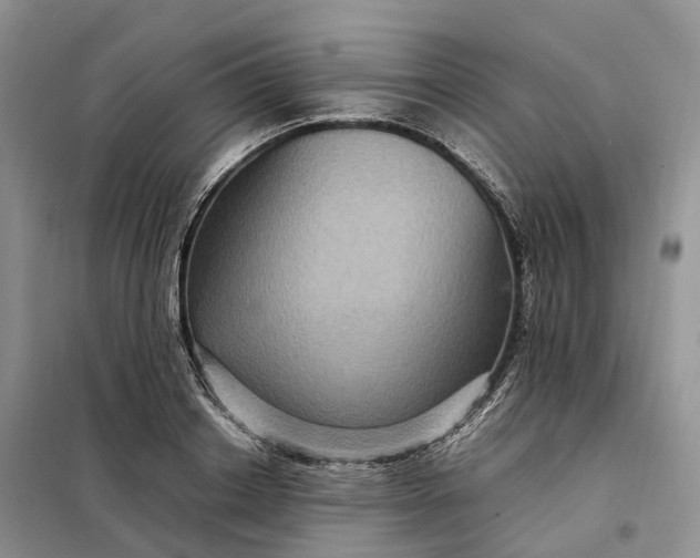 X0000098000842200804071216