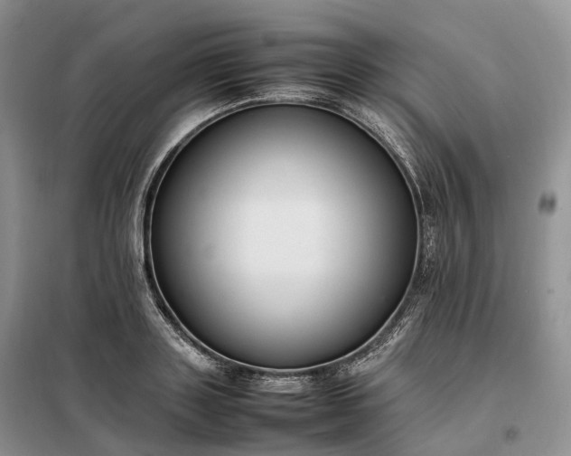 X0000098000843200804071216