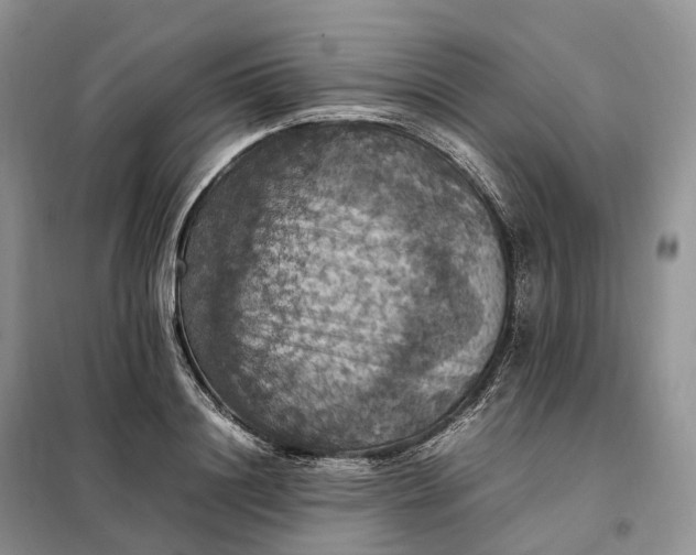 X0000098000844200804071216