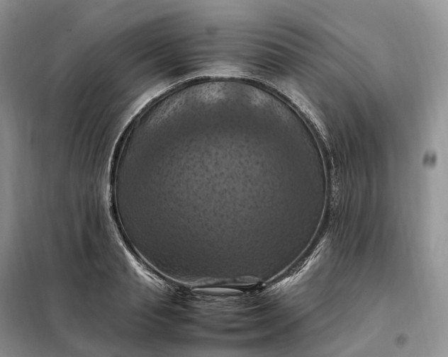 X0000098000845200804071216