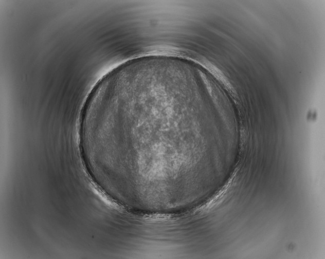 X0000098000846200804071216