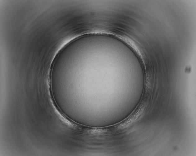 X0000098000847200804071216