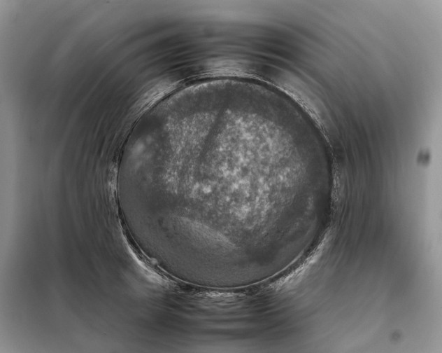 X0000098000849200804071216
