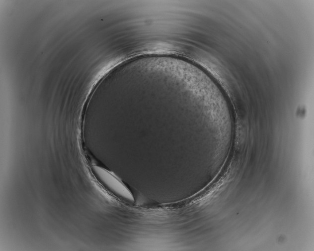 X0000098000850200804071216