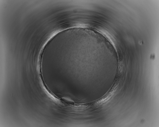 X0000098000851200804071216