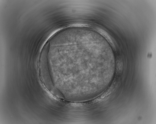 X0000098000852200804071216