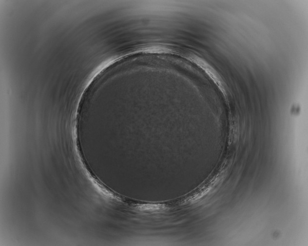 X0000098000853200804071216