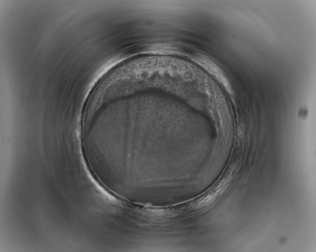 X0000098000855200804071216