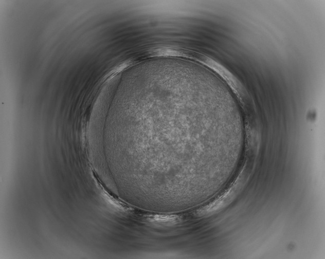 X0000098000857200804071216