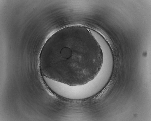 X0000098000858200804071216